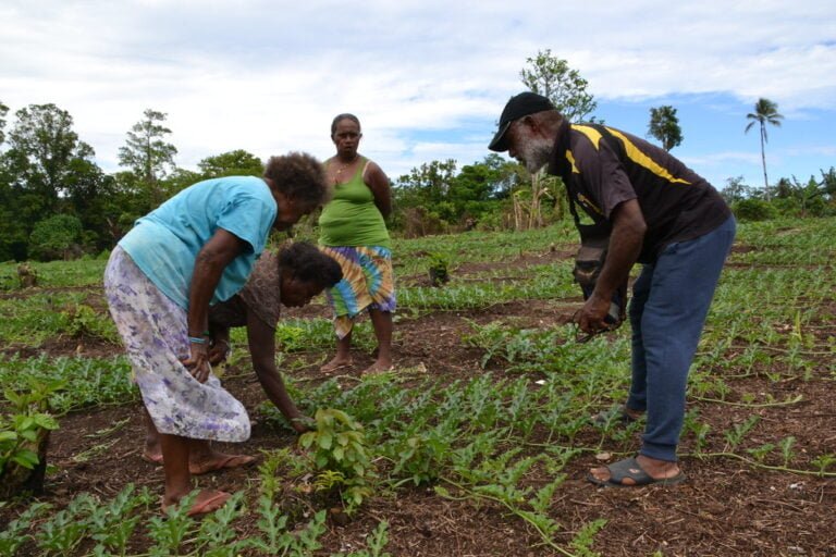 Three adults, two women and one man, are working in a rural garden with vegetation and trees in the background under a cloudy sky.