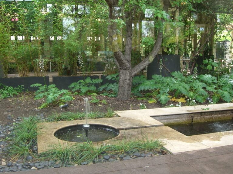 An urban garden with a variety of plants, a tree, a small fountain, and a shallow pond edged with stones and grasses.