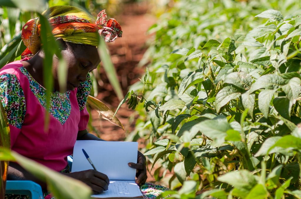 A woman in traditional attire writing on paper while sitting amidst lush green plants.