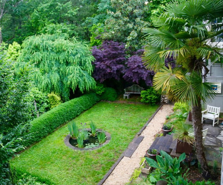 A lush garden with various green plants, a fan palm, a purple leafy tree in the background, a small pond, gravel path, and two benches.
