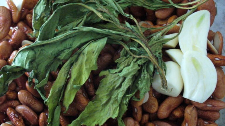 Alt-text: A close-up of dried herbs, garlic cloves, and pecan nuts arranged together.