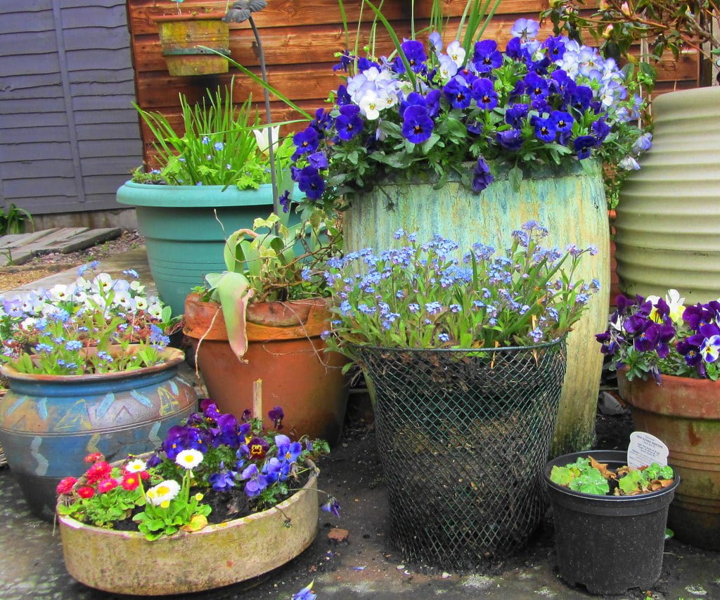 A collection of colorful flowers and plants in various pots and containers outside a wooden building.