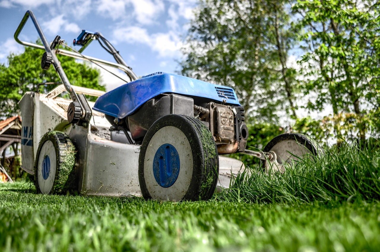 A close-up of a blue and white gas lawn mower on a grassy lawn with trees in the blurred background.