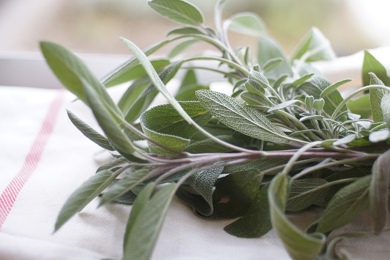 A bunch of fresh culinary herbs placed on a white cloth with a red stripe detail.