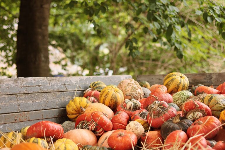 A variety of colorful pumpkins and gourds in a wooden crate with a blurred natural background.