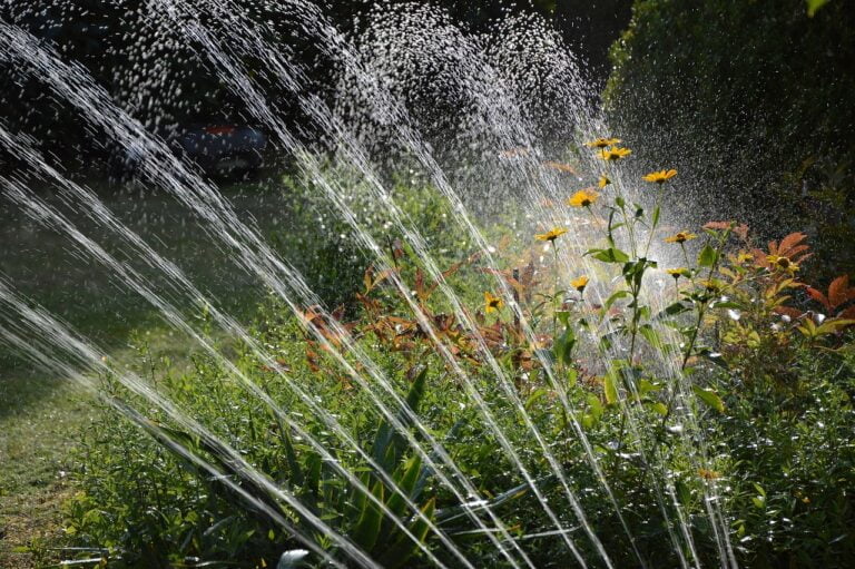 Sprinkler watering a sunlit garden with a mixture of green plants and yellow flowers, creating a pattern of water droplets in the air.