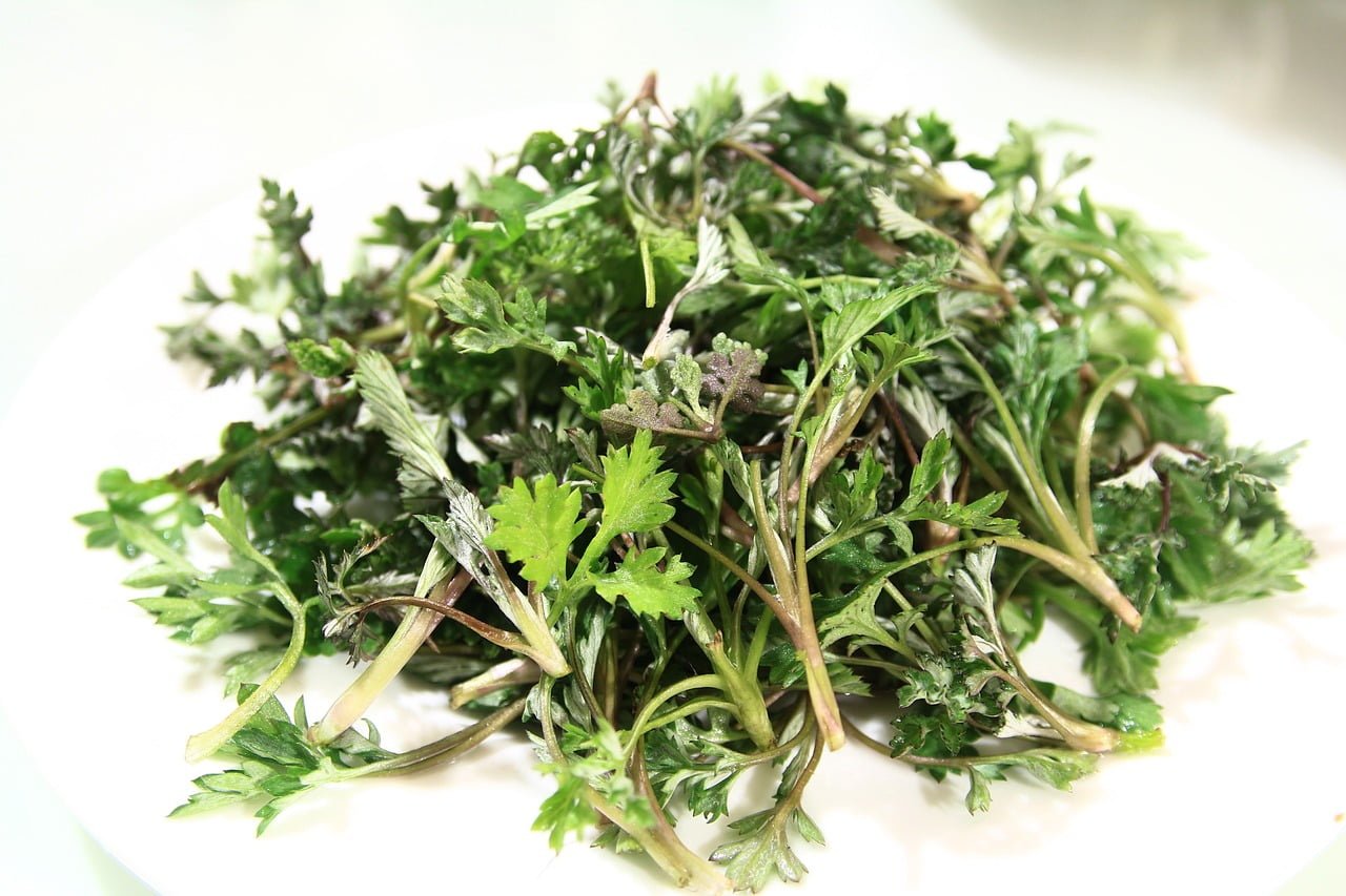 A heap of fresh, green parsley leaves with stems on a white plate.