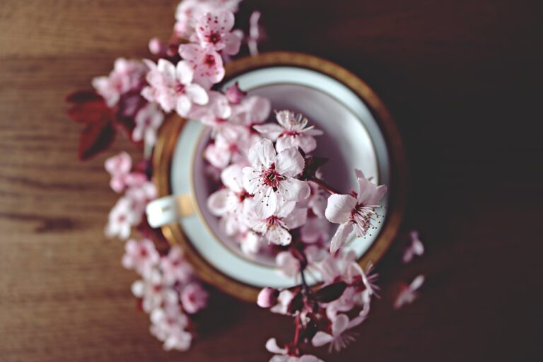 A cup of tea surrounded by cherry blossoms on a wooden surface.