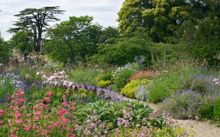 A vibrant flower garden with a variety of colorful blooms and lush greenery under a partly cloudy sky.