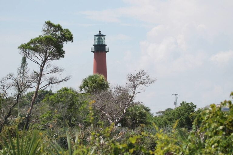 A red and white lighthouse visible behind lush greenery under a clear sky.