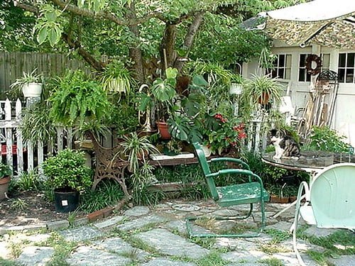 A lush garden with a variety of potted plants and greenery, a green metal bench, and a cat sitting on a table amidst the foliage. A weathered wooden fence and part of a building are visible in the background. Stone pavers are scattered on the ground.