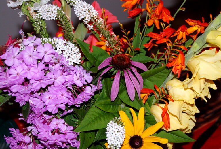 A vibrant bouquet of various flowers, including purple coneflower, yellow gladioli, purple and white phlox, and red crocosmia on a blurred background.