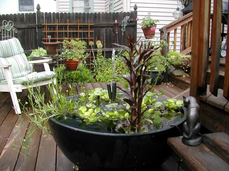 A wooden deck with potted plants and a large black container water garden featuring aquatic plants and a metal sculpture of a cat.