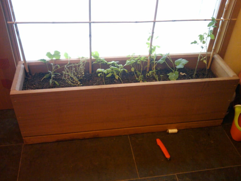 Indoor wooden planter box in front of a window with various small plants and seedlings growing in soil, a gardening tool on the tiled floor to the right.