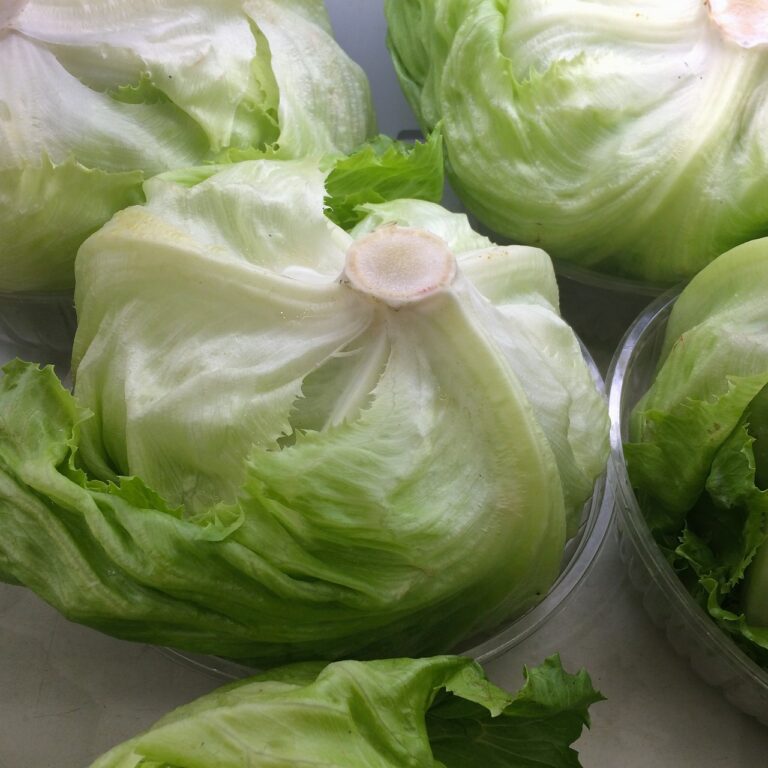 Fresh iceberg lettuce heads on display with visible leaves and stems.