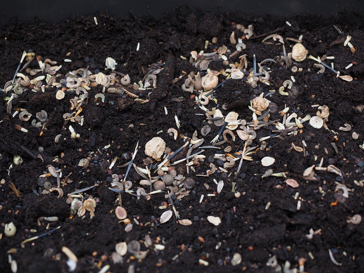 Rich dark soil scattered with various organic compost materials including seeds, small twigs, and decomposing plant matter.