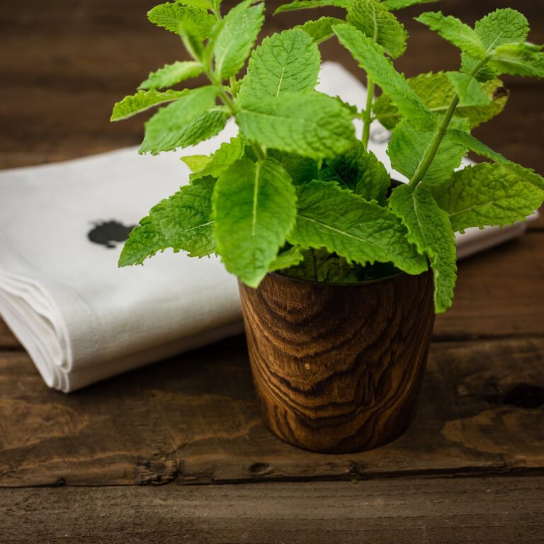A fresh bunch of green mint leaves in a wooden cup, placed on a rustic wooden table beside a white linen napkin.