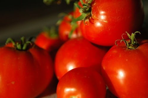 A close-up of ripe red tomatoes with visible stems in natural lighting.