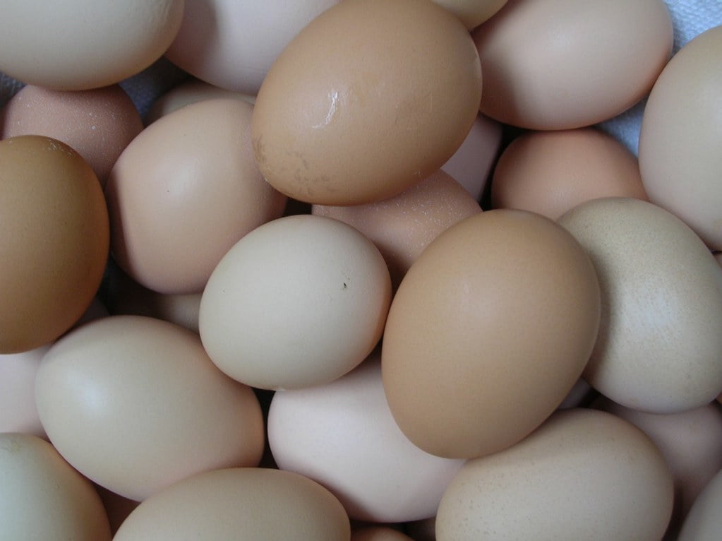 A close-up of a pile of chicken eggs with varying shades of brown and white.