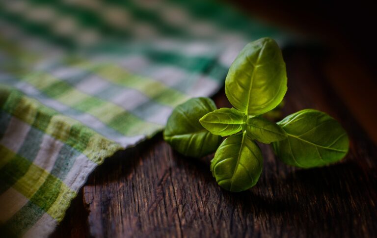 A vibrant green basil leaf on a rustic wooden surface with a blurred green and white checkered cloth in the background.