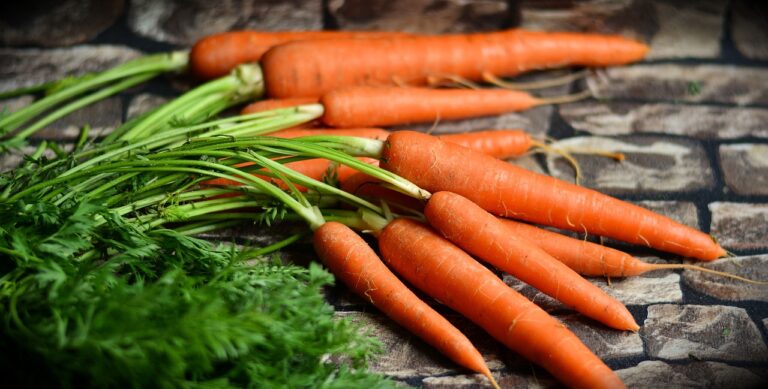 A bunch of fresh, whole carrots with green tops on a textured surface.