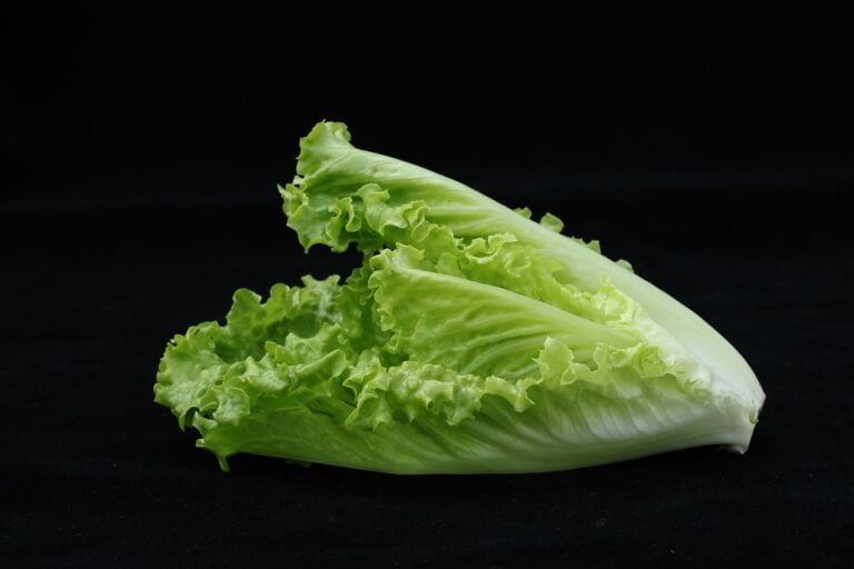 Two halves of a fresh green lettuce on a black background.