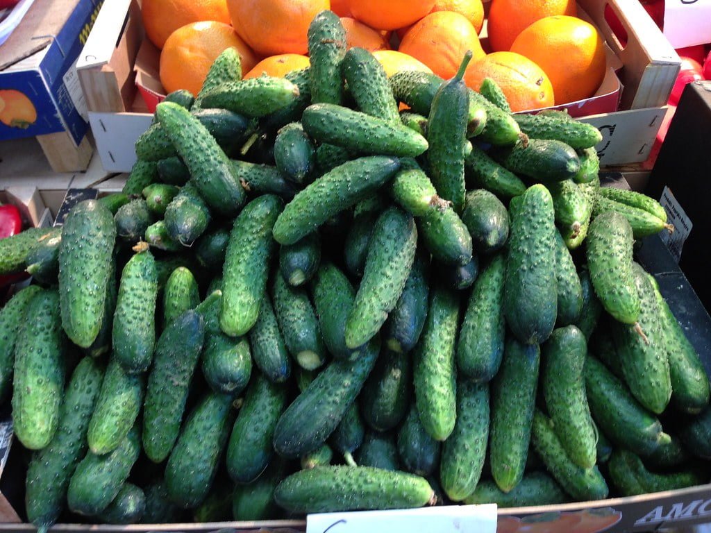 A pile of fresh cucumbers on display next to boxes of oranges at a market.
