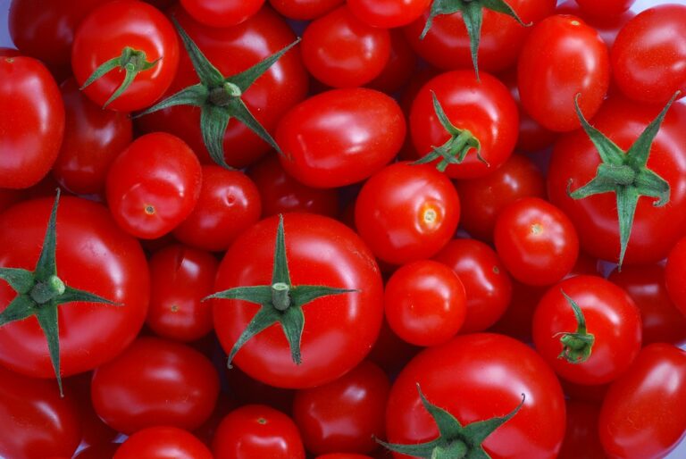 A variety of fresh red tomatoes with green stems, in a close-up view.