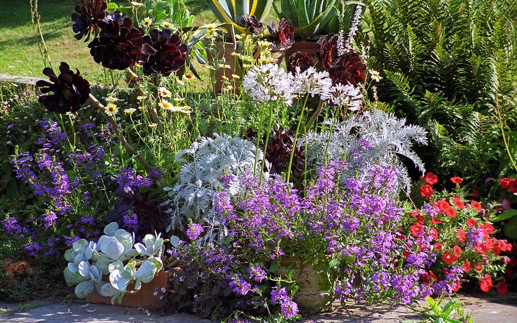 A vibrant garden bed featuring a variety of flowers including deep purple blooms, white daisies, and red blossoms with lush green foliage under sunlight.