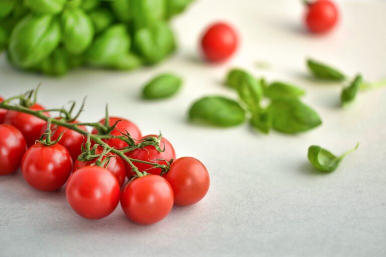 A vine of cherry tomatoes with a cluster of basil leaves in the background on a light surface.