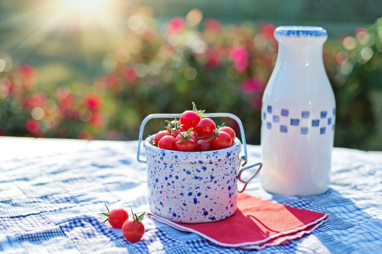A speckled enamel bucket filled with cherry tomatoes on a blue and white checkered tablecloth with a white ceramic jug in the background, all illuminated by sunlight with a bokeh of greenery.