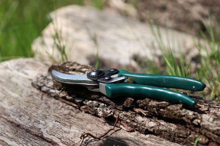 A pair of green-handled pruning shears resting on a weathered log with grass and foliage in the background.