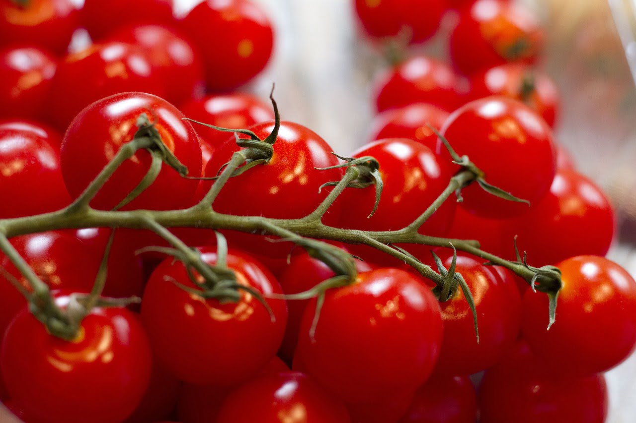 Close-up of a vibrant cluster of ripe red cherry tomatoes on the vine.