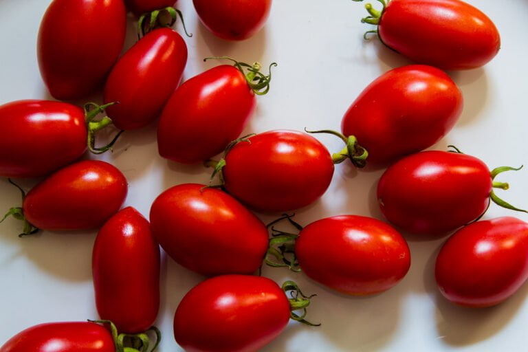 Multiple ripe red plum tomatoes scattered on a white surface.