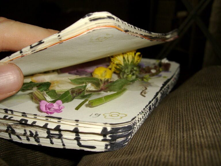 A hand holding a pressed flower book with various dried flowers and plants visible between the pages.
