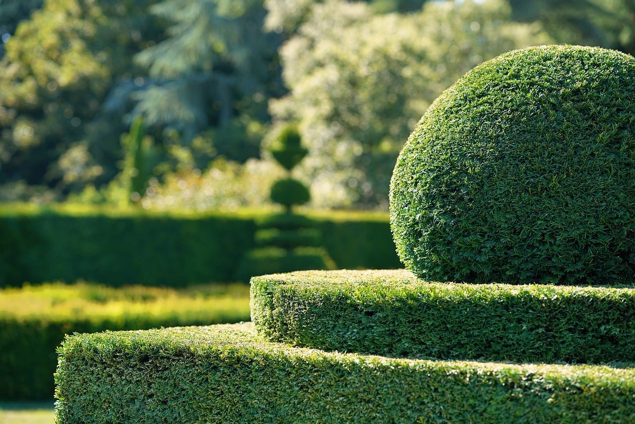 A well-manicured garden with topiary hedges trimmed into geometric shapes, bathed in sunlight.