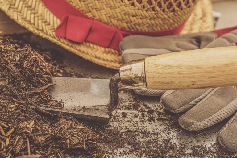 A close-up image of a gardening trowel, gloves, and a straw hat with a red ribbon, alongside some soil on a wooden surface.