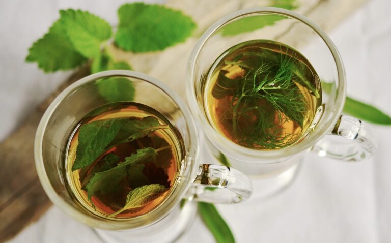 Two clear glass cups filled with herbal tea, one with a sprig of dill and the other with a green leaf, on a white surface with blurred green leaves in the background.