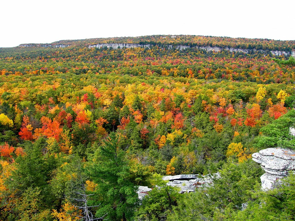 Autumn-colored trees with a spectrum of greens, yellows, oranges, and reds blanket a forest under a cloudy sky, with rugged cliffs in the background.