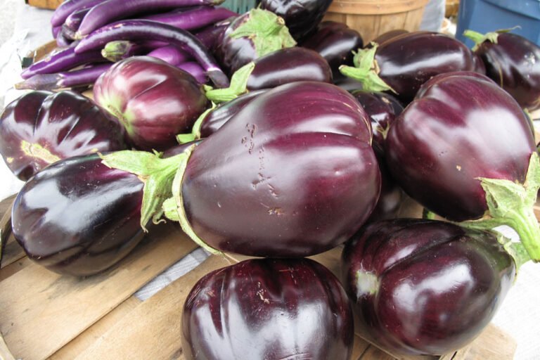 A collection of fresh, shiny purple eggplants displayed on a wooden surface.