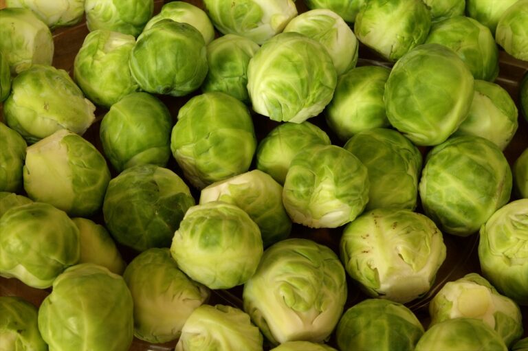 A close-up view of fresh brussels sprouts displayed in a group, showcasing their green hues and rounded shapes.