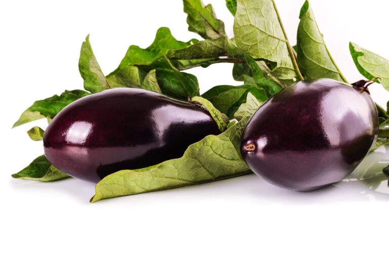Two fresh eggplants with green leaves on a white background.