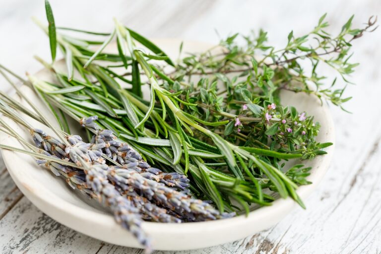 A variety of fresh herbs including rosemary, thyme, and lavender in a white bowl on a rustic wooden surface.