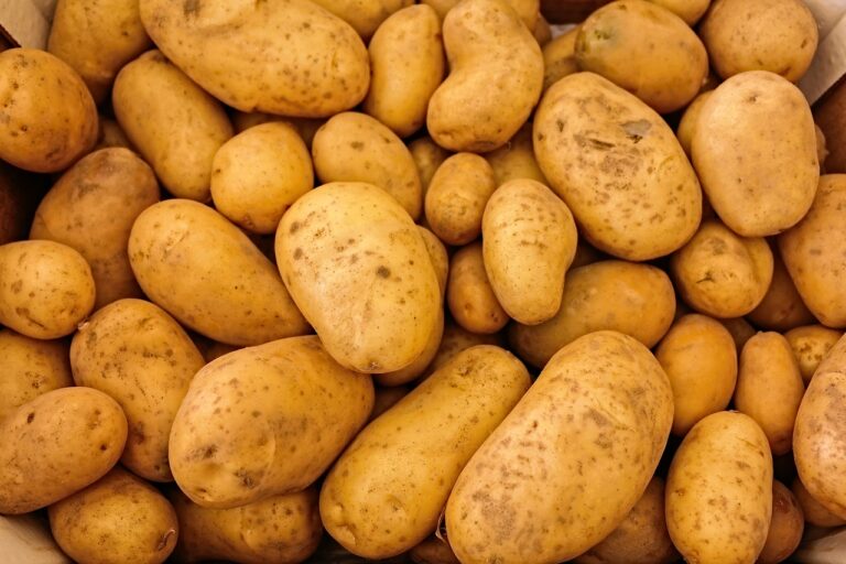 A close-up of a pile of fresh, unwashed potatoes with visible soil spots.