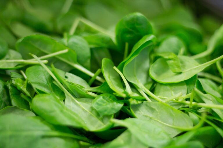 Close-up of fresh, vibrant green spinach leaves.
