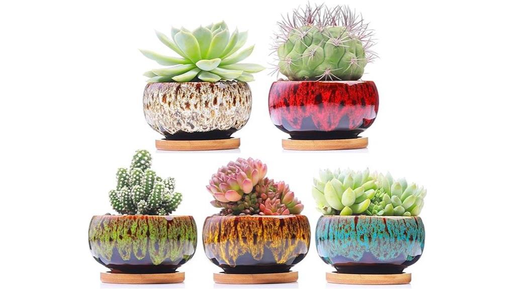 adorable pots for succulents