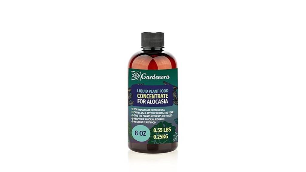 alocasia plant superfood nutrients