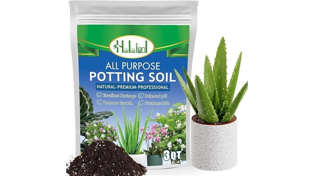 aloe plant potting mix