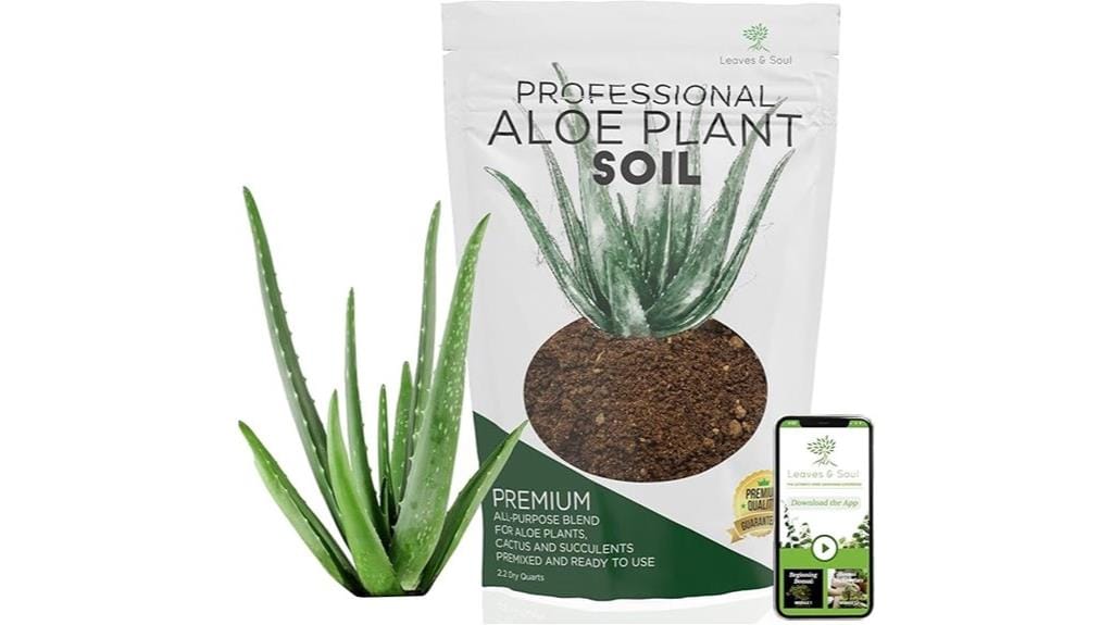 aloe plant soil blend