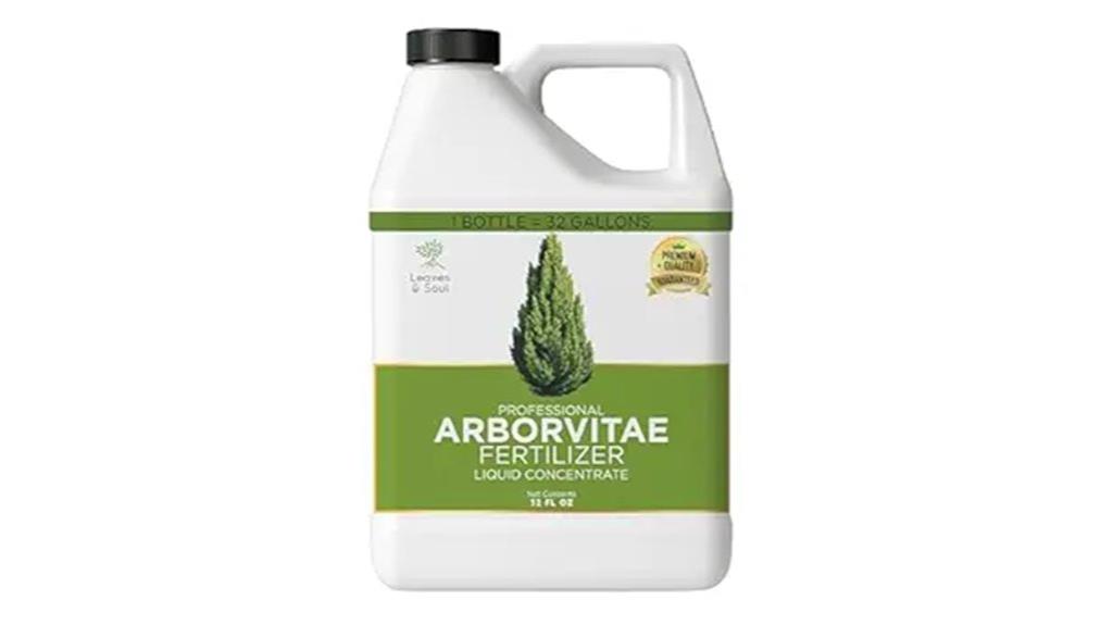 arbor vitae tree fertilizer